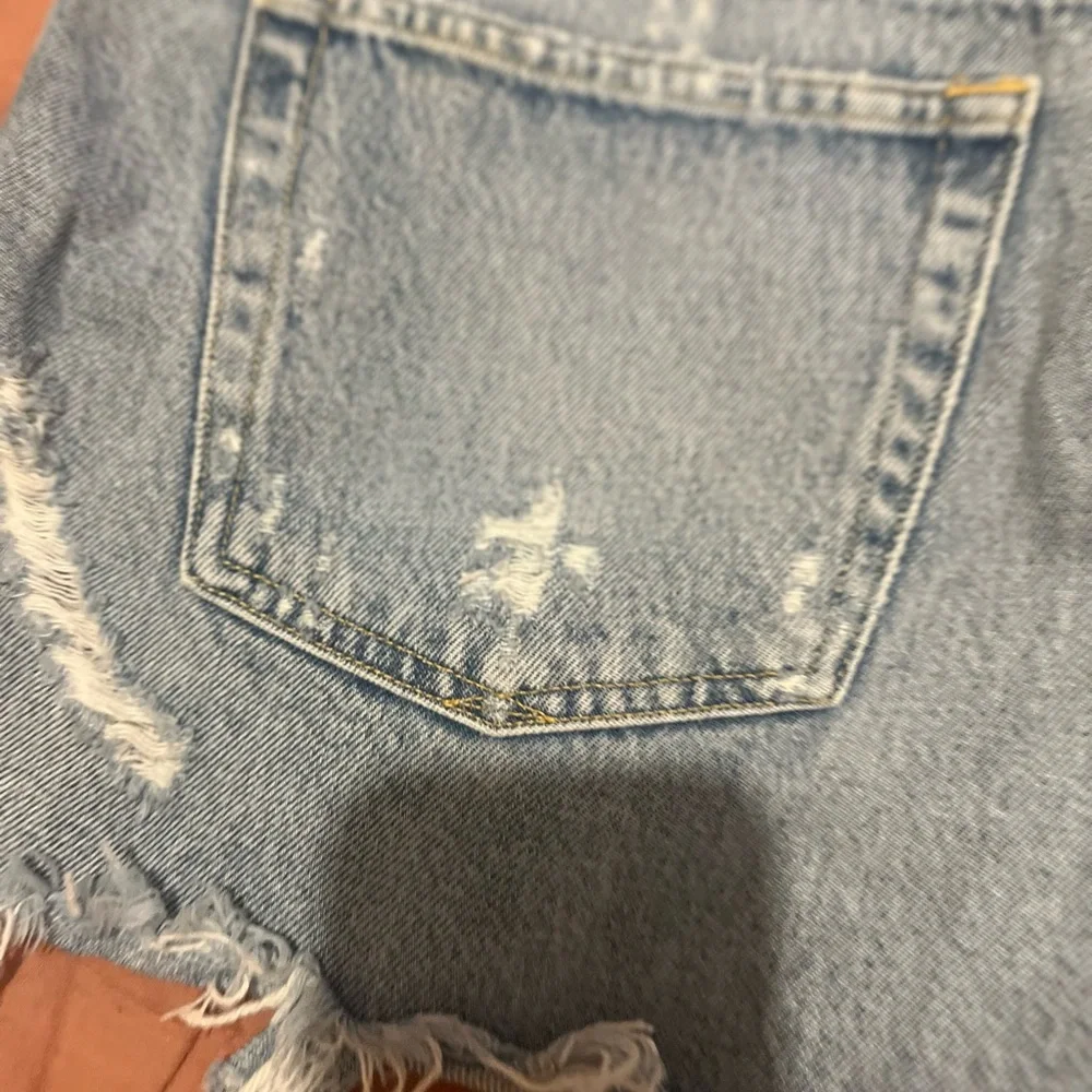 Agolde Parker Denim Jean Shorts